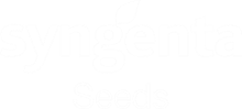 Logo Seeds